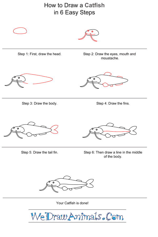 How to Draw a Catfish for Kids - Step-by-Step Tutorial