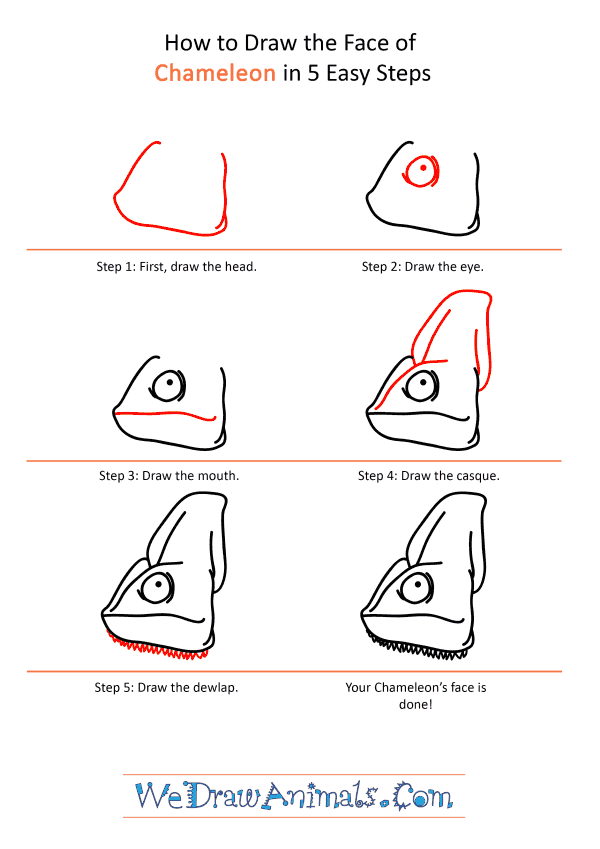 How to Draw a Chameleon Face - Step-by-Step Tutorial