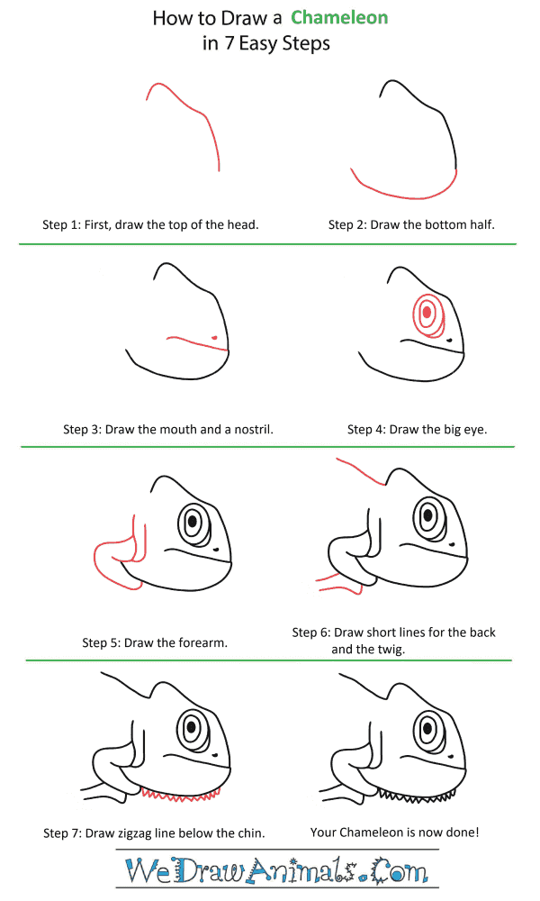 How to Draw a Chameleon Head - Step-by-Step Tutorial