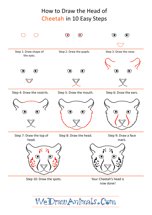 How to Draw a Cheetah Face - Step-by-Step Tutorial