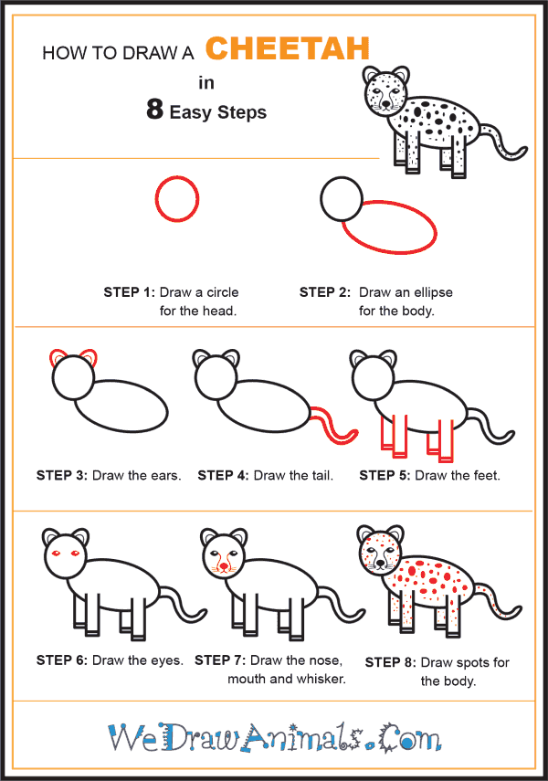 How to Draw a Cheetah for Kids - Step-by-Step Tutorial