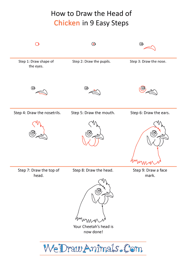How to Draw a Chicken Face - Step-by-Step Tutorial