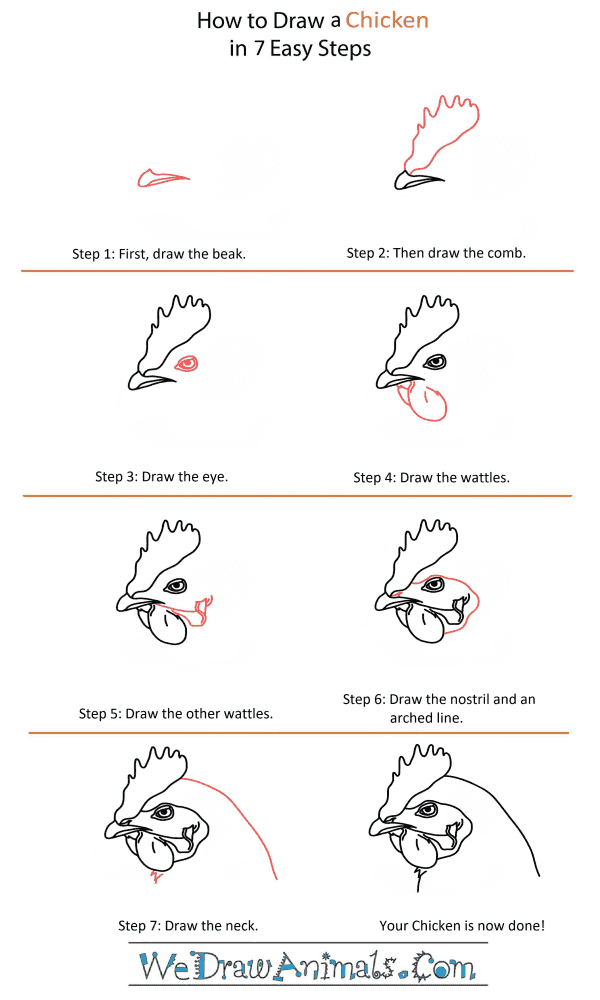 How to Draw a Chicken Head - Step-by-Step Tutorial