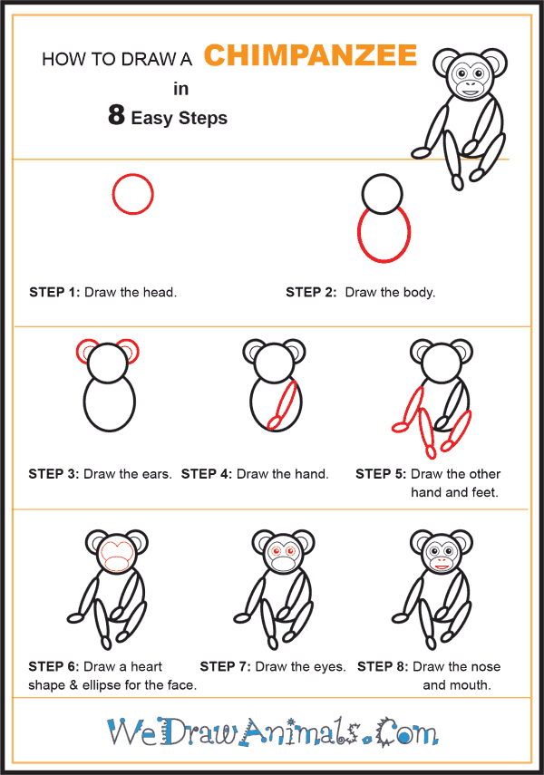 How to Draw a Chimpanzee for Kids - Step-by-Step Tutorial
