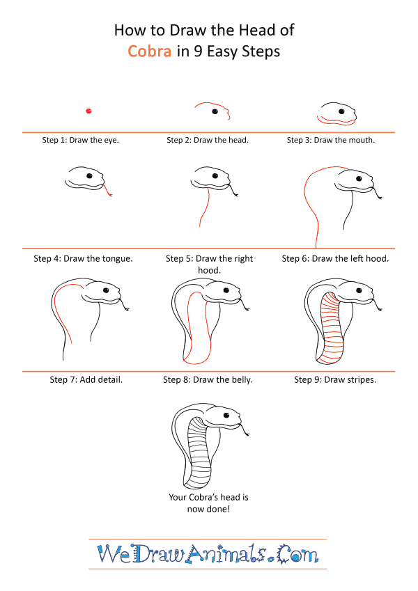 How to Draw a Cobra Face - Step-by-Step Tutorial