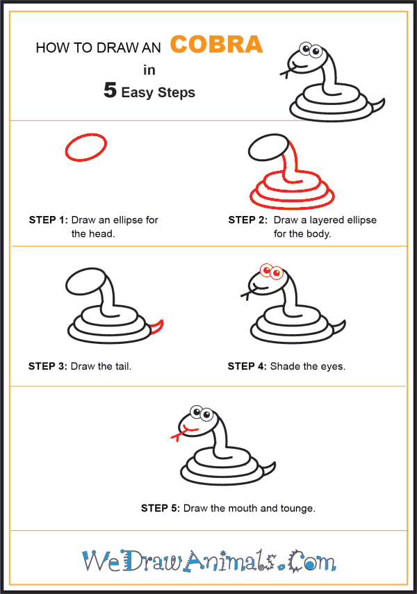 How to Draw a Cobra for Kids - Step-by-Step Tutorial