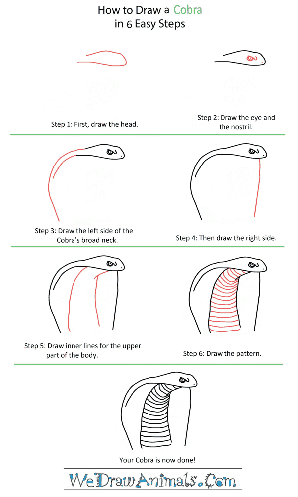 How to Draw a Cobra Head - Step-by-Step Tutorial