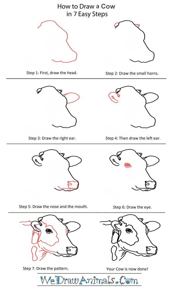 How to Draw a Cow Head - Step-by-Step Tutorial