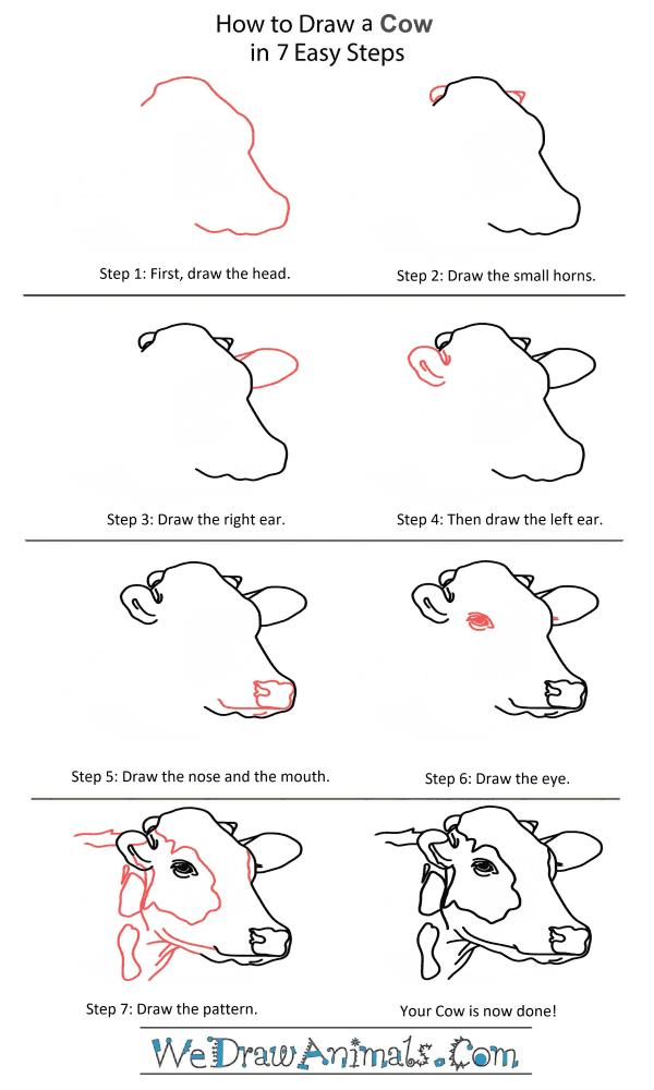 Top How To Draw A Cow Step By Step of the decade Check it out now 