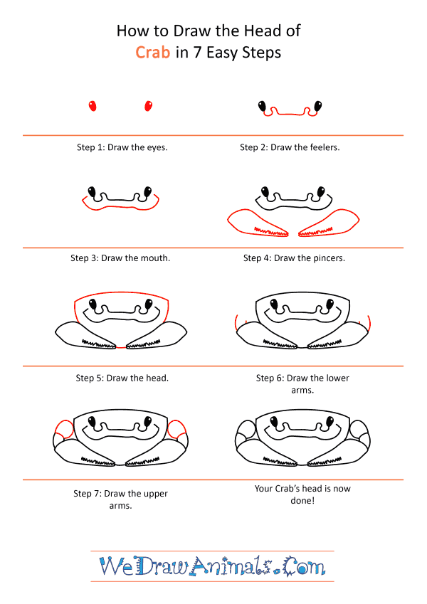 How to Draw a Crab Face - Step-by-Step Tutorial