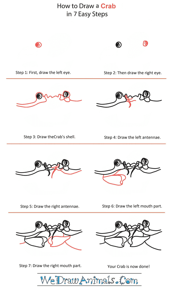 How to Draw a Crab Head - Step-by-Step Tutorial