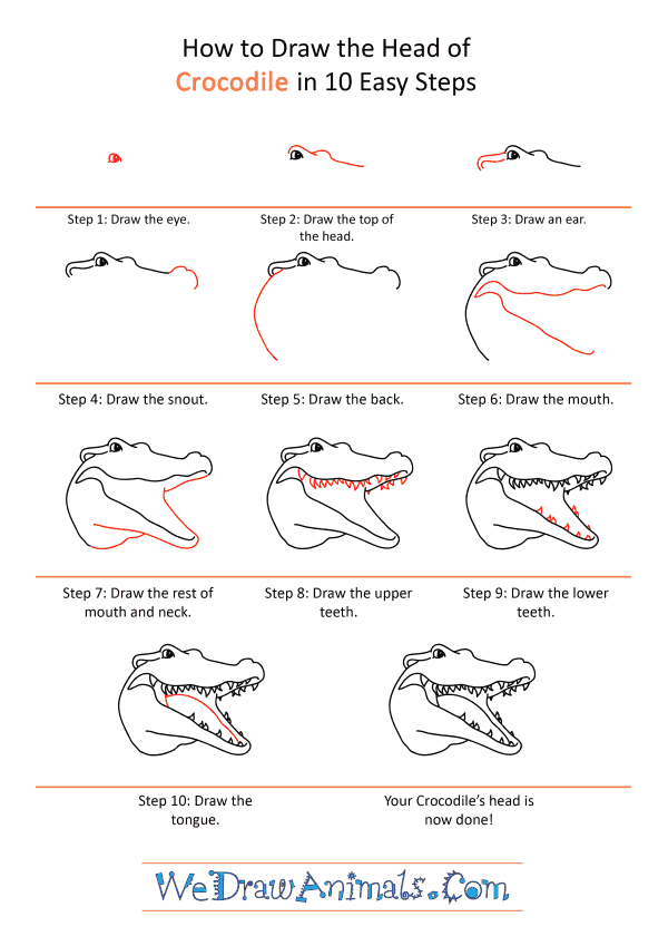How to Draw a Crocodile Face - Step-by-Step Tutorial