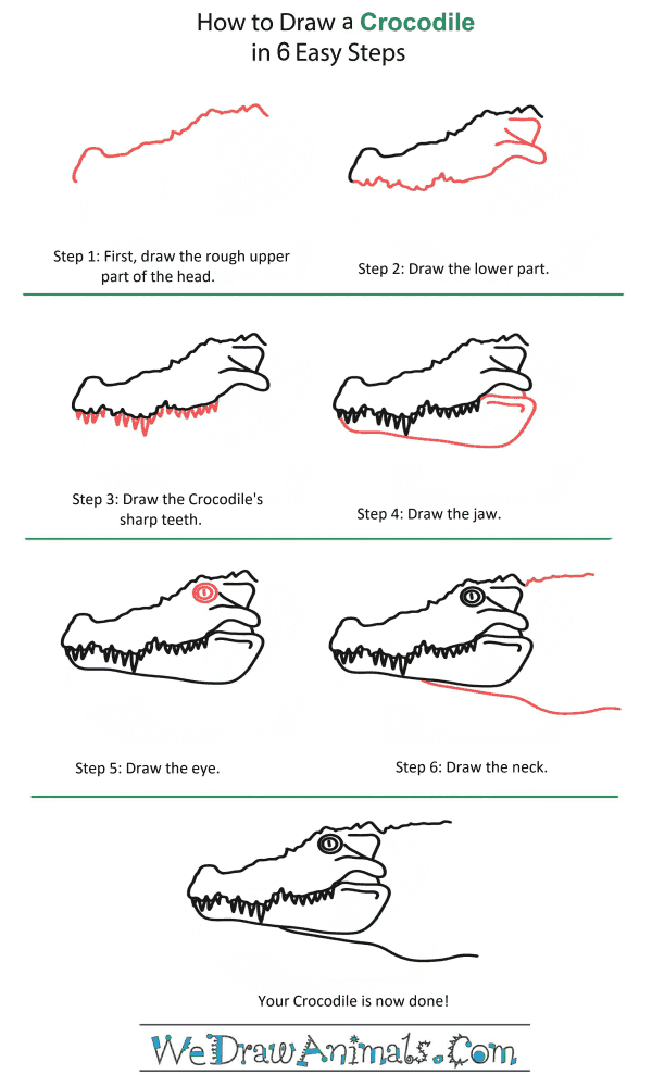 How to Draw a Crocodile Head - Step-by-Step Tutorial