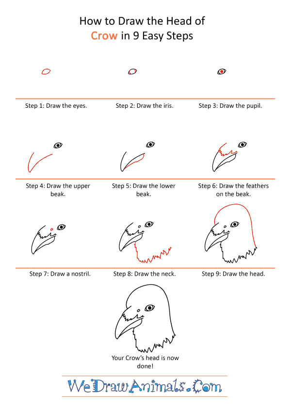 How to Draw a Crow Face - Step-by-Step Tutorial