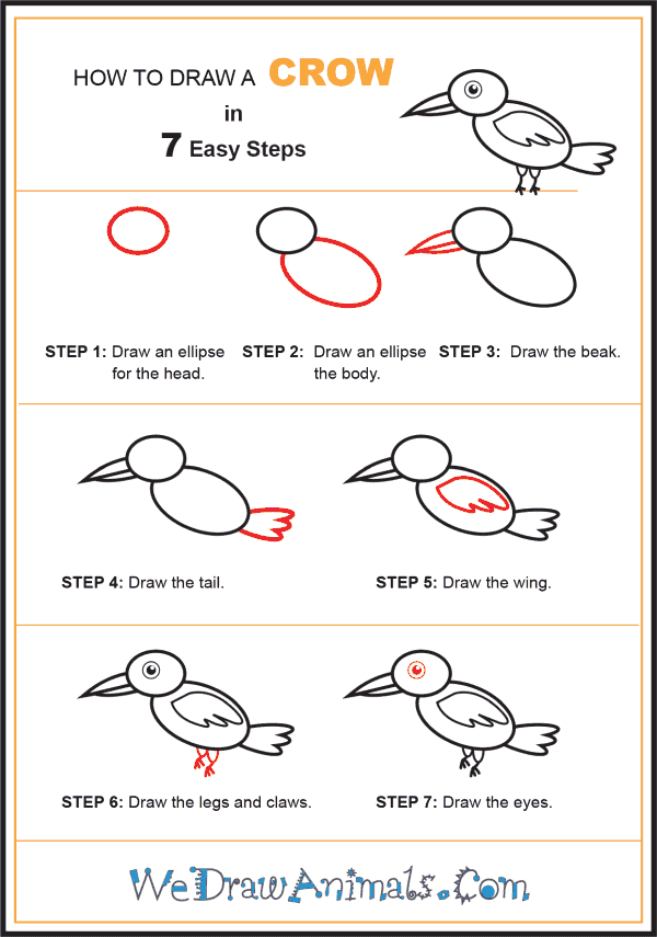 How to Draw a Crow for Kids - Step-by-Step Tutorial