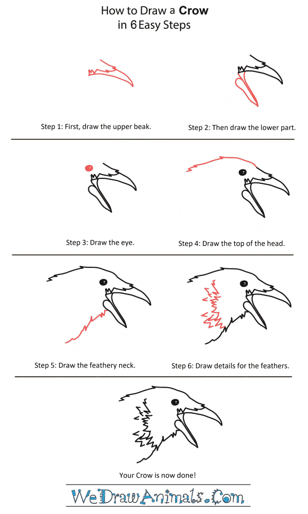 How to Draw a Crow Head - Step-by-Step Tutorial
