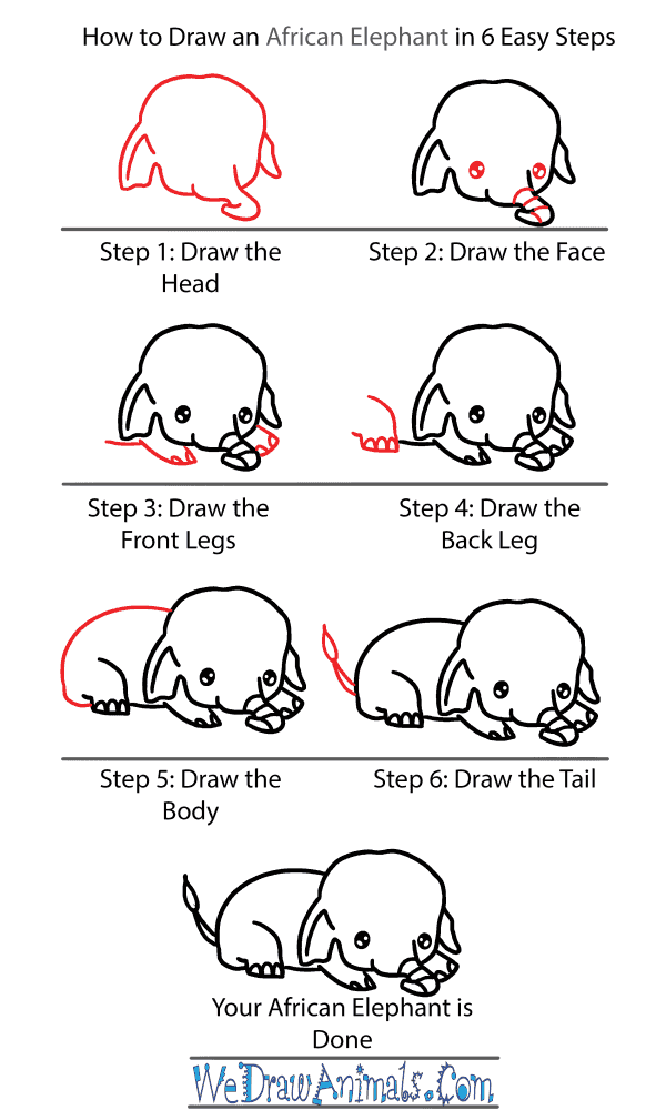 How to Draw a Cute African Elephant - Step-by-Step Tutorial