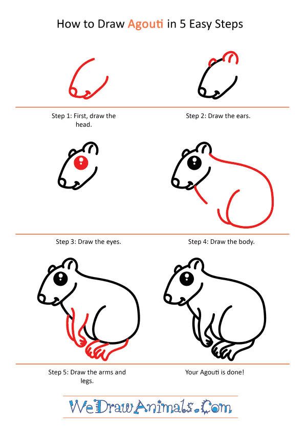 How to Draw a Cute Agouti - Step-by-Step Tutorial