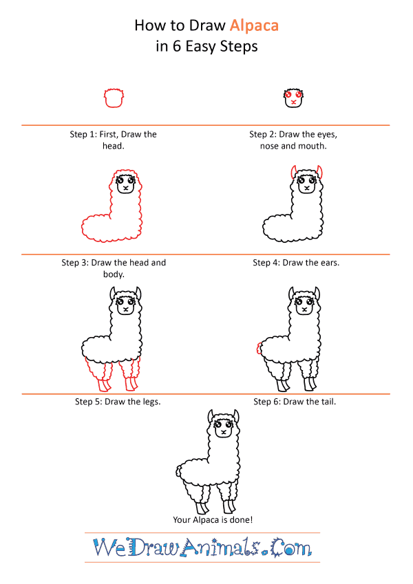 How to Draw a Cute Alpaca - Step-by-Step Tutorial