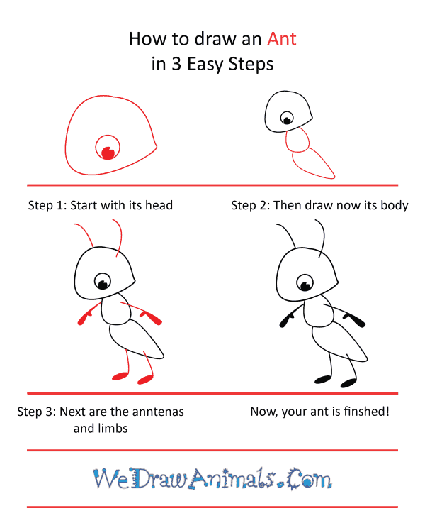How to Draw a Cute Ant - Step-by-Step Tutorial