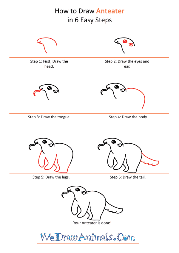 How to Draw a Cute Anteater - Step-by-Step Tutorial