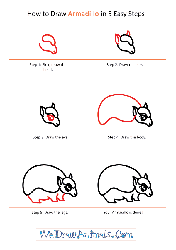 How to Draw a Cute Armadillo - Step-by-Step Tutorial