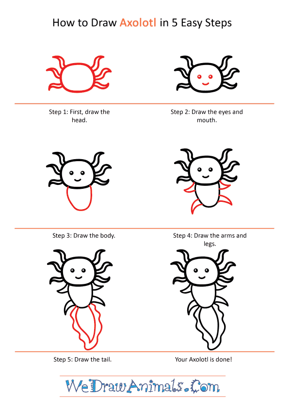 How to Draw a Cute Axolotl - Step-by-Step Tutorial