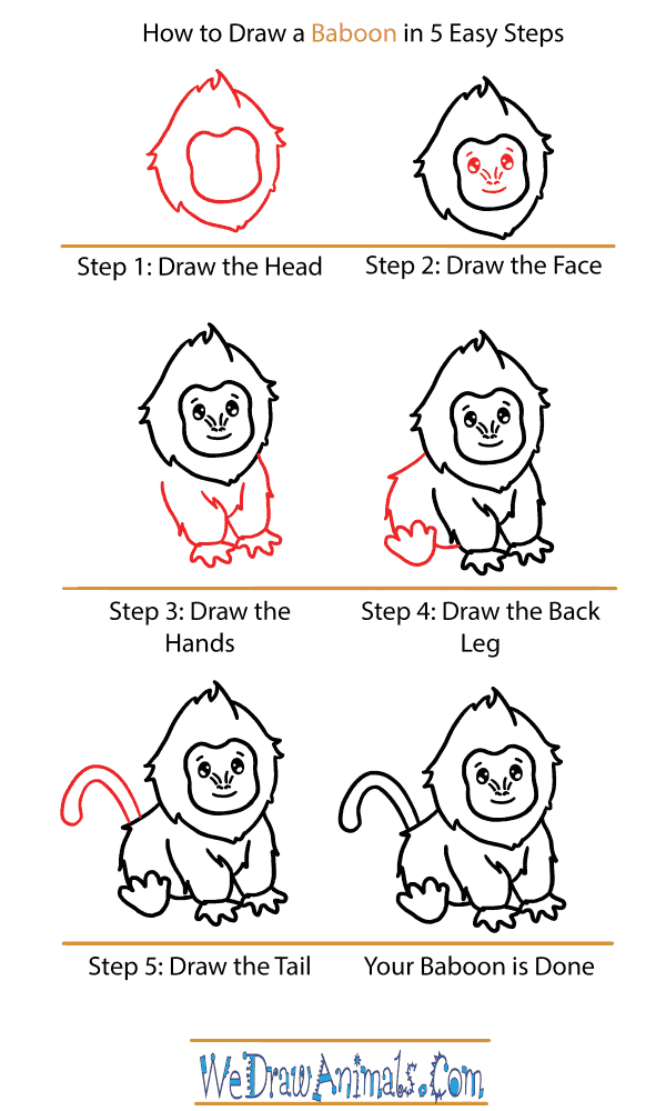 How to Draw a Cute Baboon - Step-by-Step Tutorial