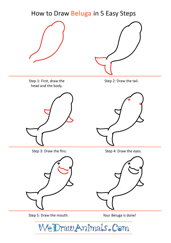 How to Draw a Cute Beluga - Step-by-Step Tutorial