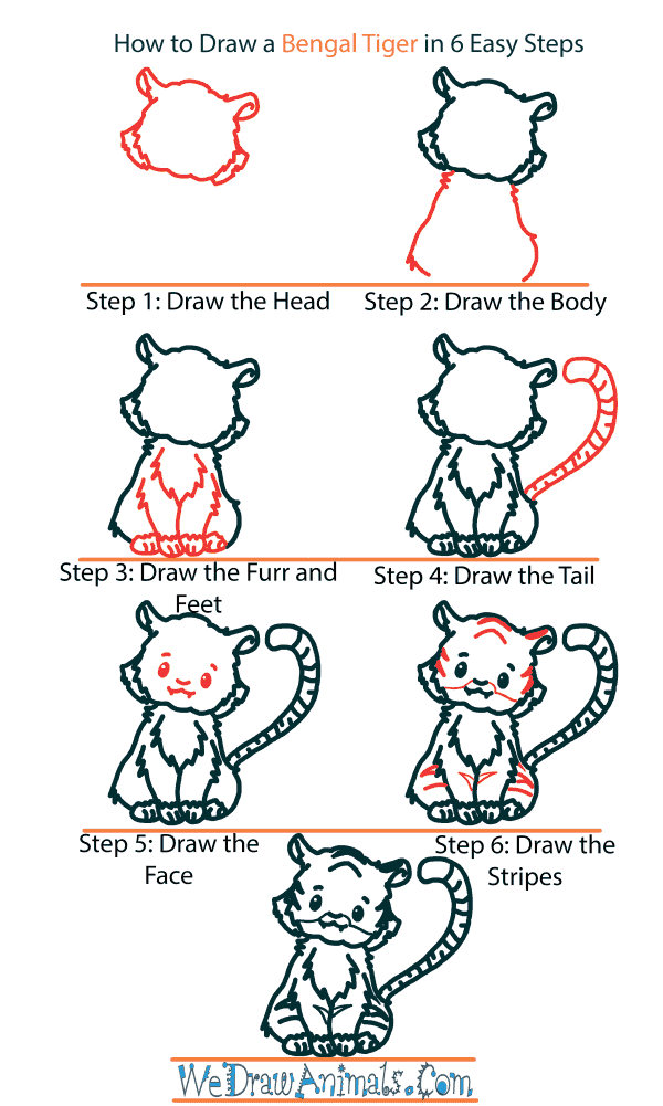 How to Draw a Cute Bengal Tiger - Step-by-Step Tutorial