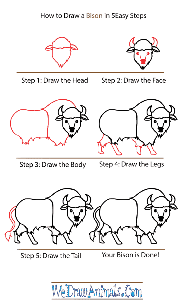 How to Draw a Cute Bison - Step-by-Step Tutorial