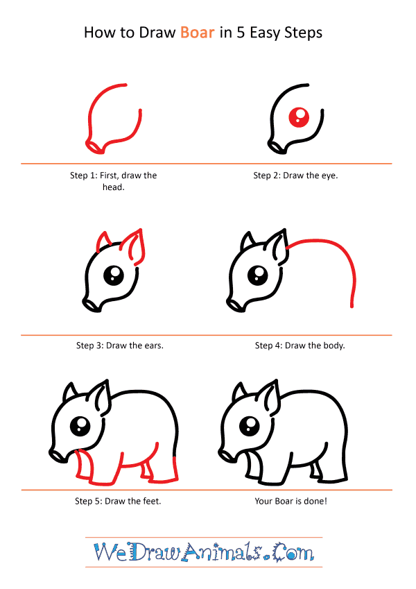 How to Draw a Cute Boar - Step-by-Step Tutorial