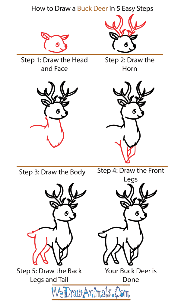 How to Draw a Cute Buck Deer - Step-by-Step Tutorial