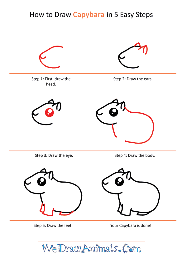 How to Draw a Cute Capybara - Step-by-Step Tutorial