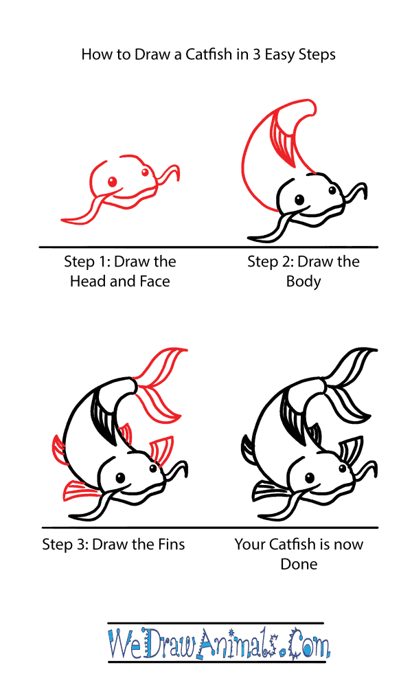 How to Draw a Cute Catfish - Step-by-Step Tutorial