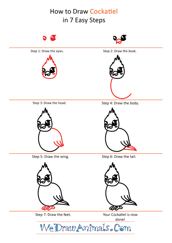 How to Draw a Cute Cockatiel - Step-by-Step Tutorial