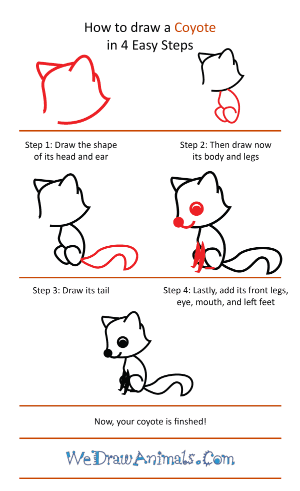 How to Draw a Cute Coyote - Step-by-Step Tutorial