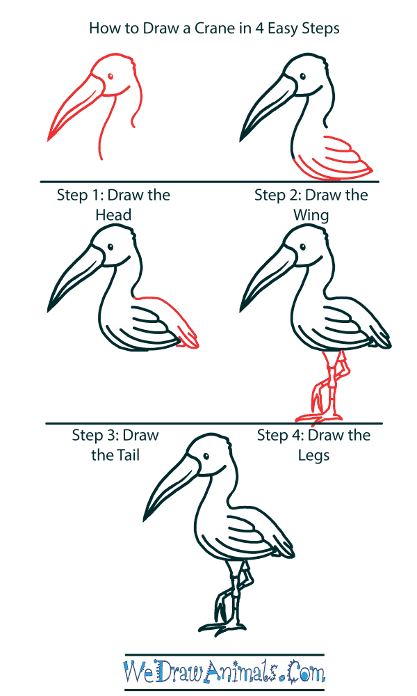 How to Draw a Cute Crane - Step-by-Step Tutorial