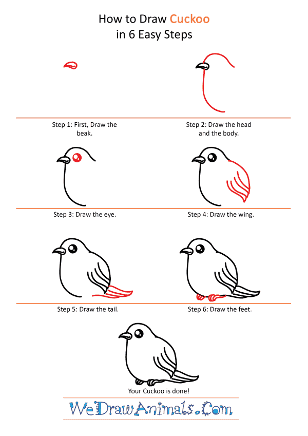 How to Draw a Cute Cuckoo - Step-by-Step Tutorial