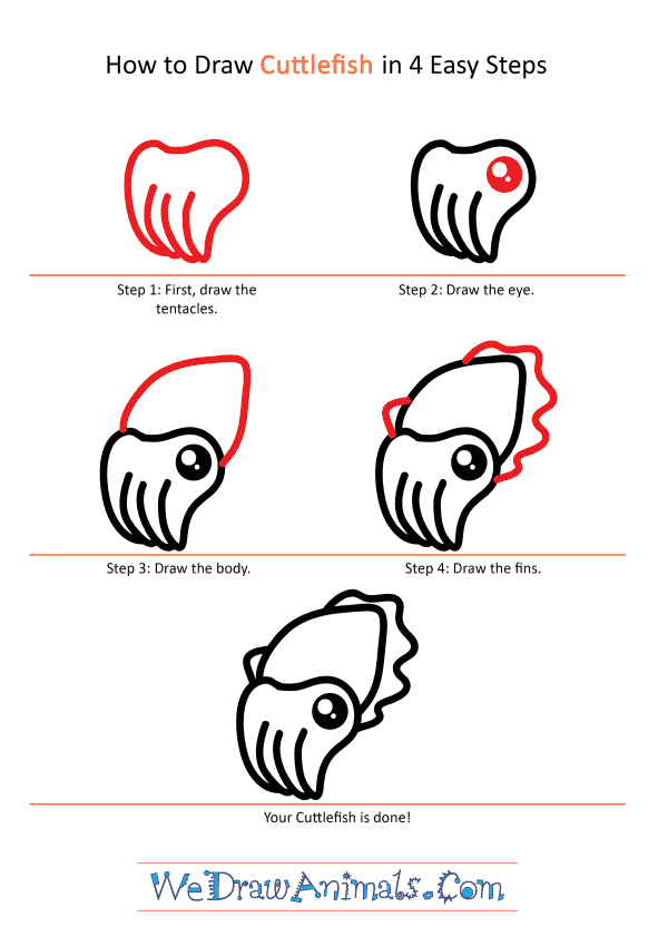 How to Draw a Cute Cuttlefish - Step-by-Step Tutorial