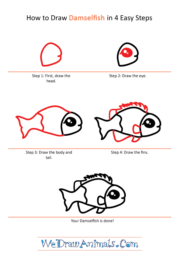 How to Draw a Cute Damselfish - Step-by-Step Tutorial