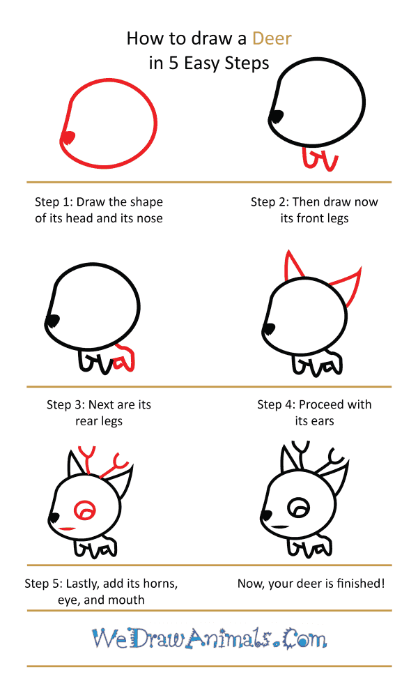 How to Draw a Cute Deer - Step-by-Step Tutorial