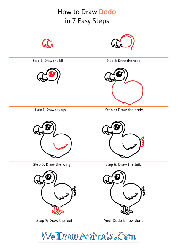 How to Draw a Cute Dodo - Step-by-Step Tutorial