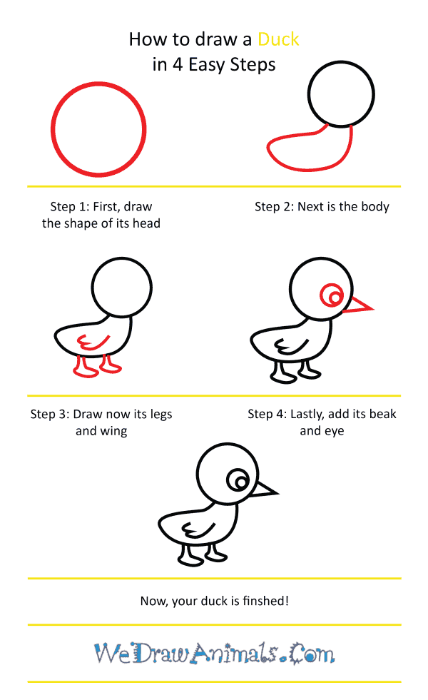How To Draw A Cute Duck Add detail to the beak to make it look realistic. we draw animals