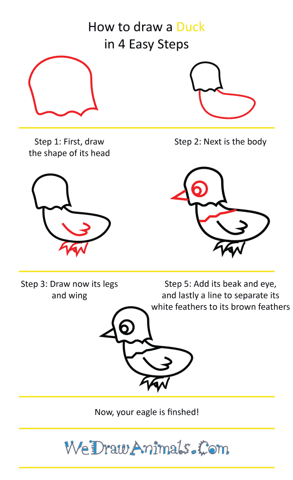 How to Draw a Cute Eagle - Step-by-Step Tutorial