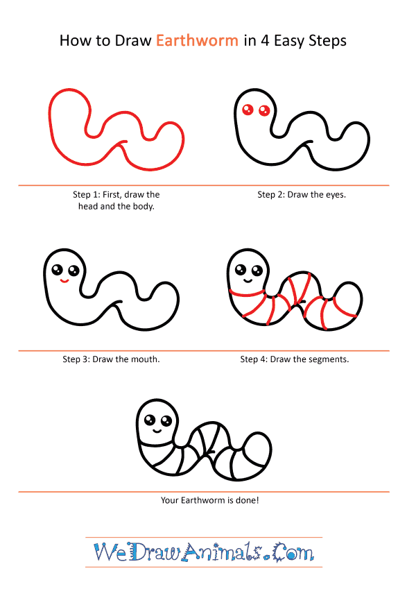 How to Draw a Cute Earthworm - Step-by-Step Tutorial