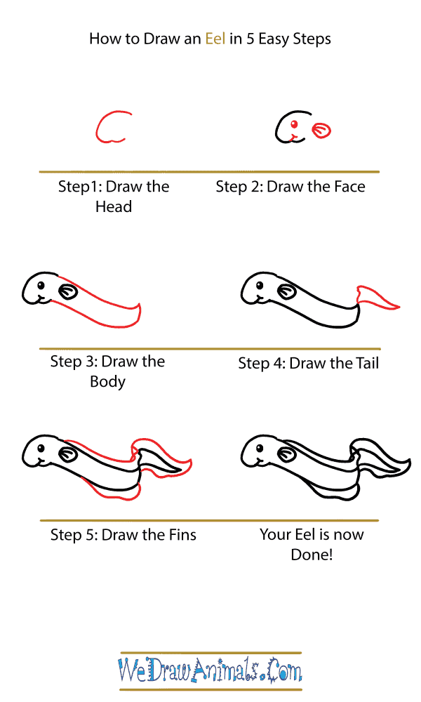 How to Draw a Cute Eel - Step-by-Step Tutorial