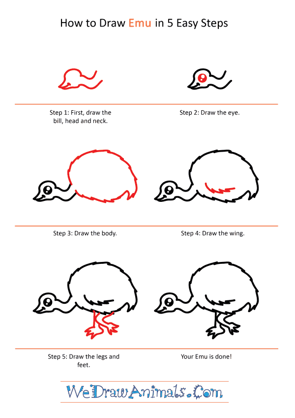 How to Draw a Cute Emu - Step-by-Step Tutorial