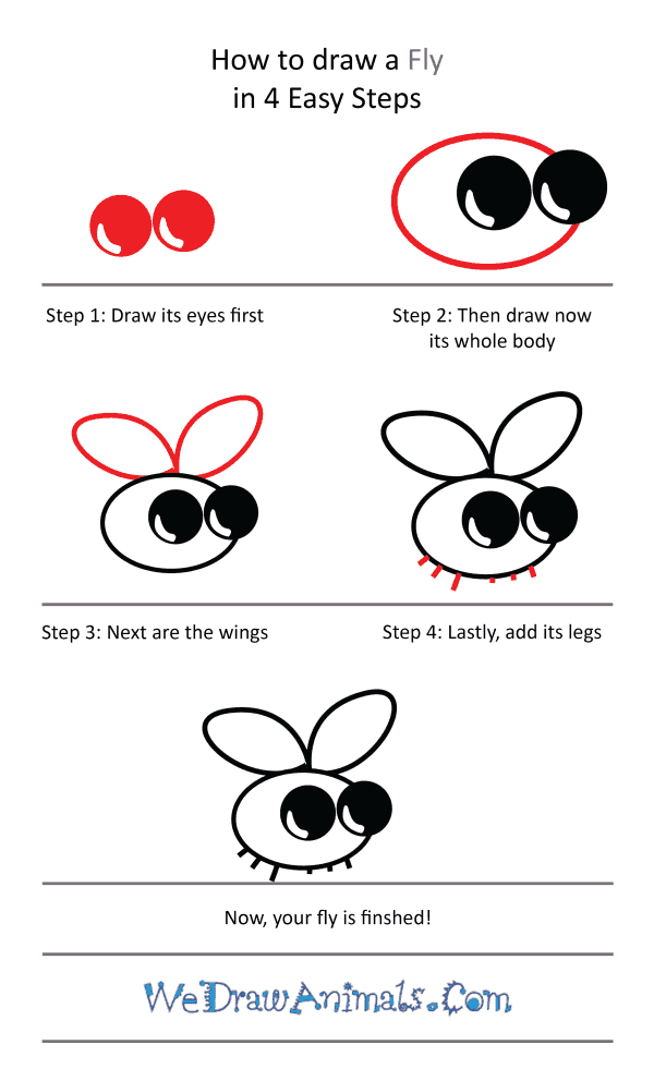 How to Draw a Cute Fly - Step-by-Step Tutorial