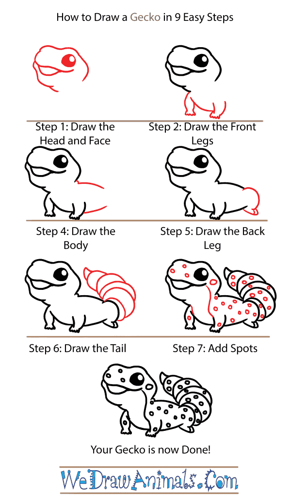 How to Draw a Cute Gecko - Step-by-Step Tutorial